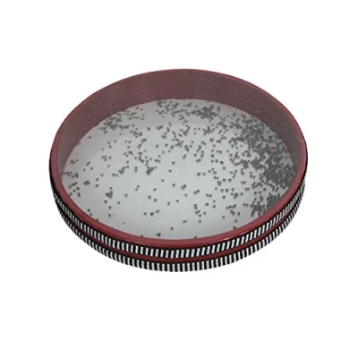 Imagen de Db Percussion DB0741 Ocean drum