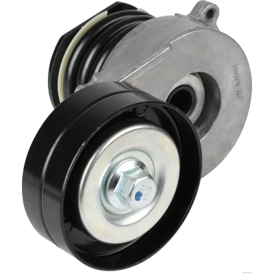 Imagen de HERTH+BUSS JAKOPARTS J1144072 Tensor de Correa OPEL: Combo C Tour, Meriva A, Astra H GTC norauto, oscaro, mister auto