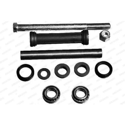 Imagen de MOOG TO WP 17868 Barra oscilante, suspensión de ruedas TOYOTA: RAV4 V