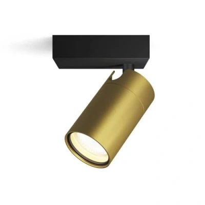 Imagen de Philips Idris Foco de Baño (1luz), bombillas GU10 no incluida, Latón, IP44, Resistente al agua