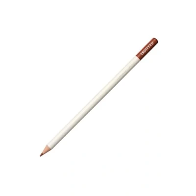 Imagen de Tombow IROJITEN Lapices de Colores Profesionales Calidad Ideal para Ilustraciones, Bullet Journaling, Mandalas Uso Doméstico y Profesional Color Cinnamon