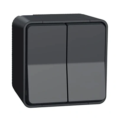Imagen de Schneider Electric MUR35022 Doble Conmutador Superficie, IP55, Gris