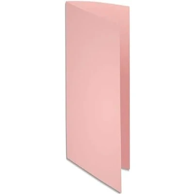 Imagen de Exacompta 330003E Lote de 100 Subcarpetas Super 250, Color Rosa