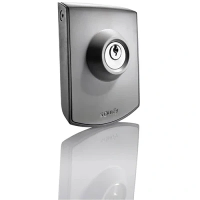 Imagen de Somfy 2400597 Mando De Pared Con Llave, Para Puerta Garaje, Compatible Motores Gdk