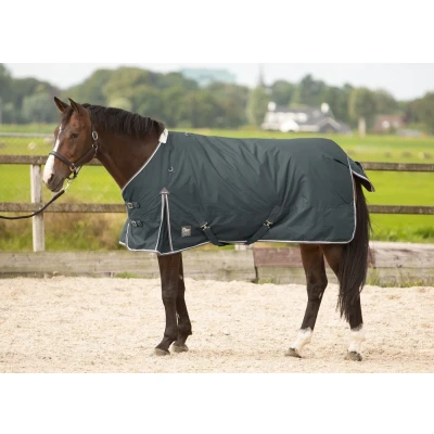 Imagen de Harry&#039;s Horse Outdoorrug Thor 300