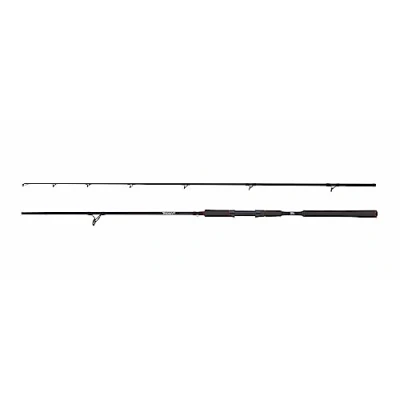 Imagen de Abu Garcia Beast Pike Caña spinning 2.44m (40 90g)