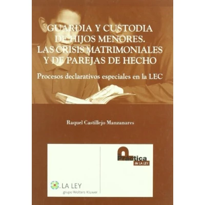Imagen de Proceso Declarativo Especial Guarda Y Custodia Hijos Menores De La Lec