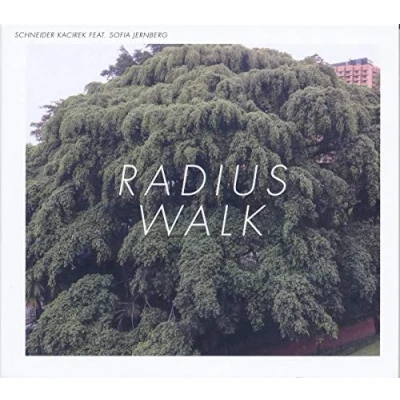 Imagen de Radius Walk (vinilo + Cd)