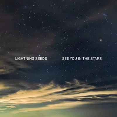 Imagen de See You in the Stars (Indie Exclusive) [Vinilo]