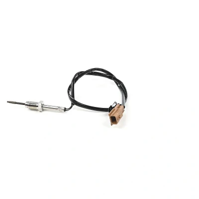 Imagen de DELPHI TS30357 12B1 Sensores NISSAN: Qashqai 2, Juke, NV200 / Evalia Bus