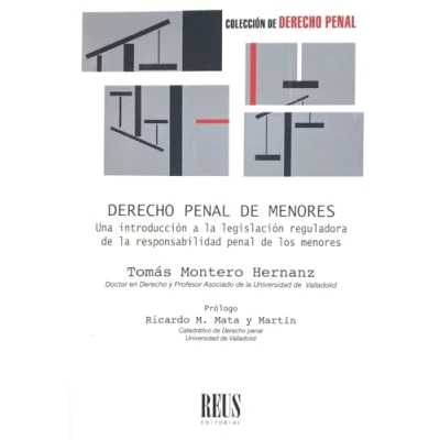 Imagen de Derecho penal de menores. Una introducción a la legislación reguladora responsabilidad los menores: menores