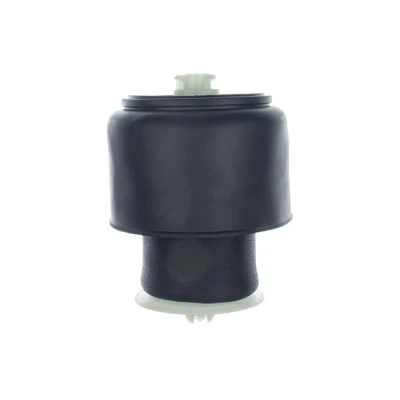 Imagen de DENCKERMANN DSA116G Muelle neumático, suspensión Eje trasero BMW: 5 Touring, GT