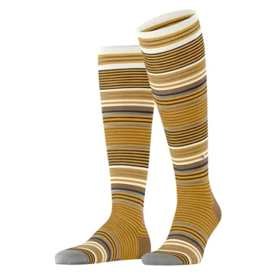 Imagen de Burlington Stripe M Kh lana estampados 1 par, Calcetines largos Hombre, Amarillo Solar 1314, 40 46