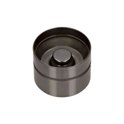 Imagen de MAXGEAR 17 0023 Taqués Hidráulicos hidráulico Lado de escape VOLKSWAGEN: Golf 5, Polo IV Hatchback, Touran I, AUDI: A3 A4 B5 Berlina