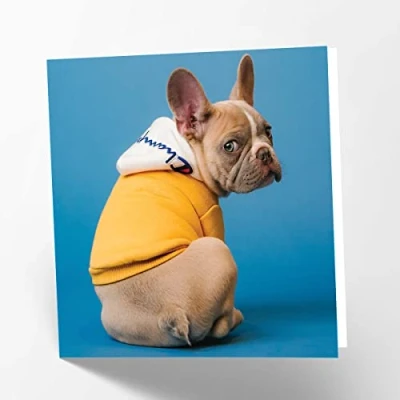 Imagen de Maturi Tarjeta de felicitación en blanco con imagen bulldog francés