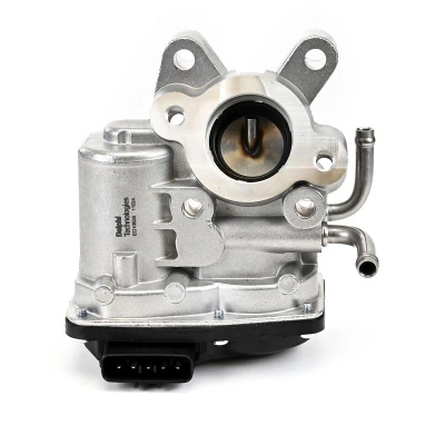 Imagen de DELPHI EG10636 12B1 Válvula EGR con juntas, sin radiator SUBARU: Impreza III Hatchback, Forester III, XV I