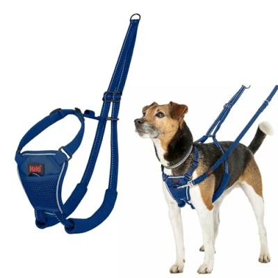 Imagen de Arnés anti tirones HALTI para evitar que tu perro tire de la correa, Ajustable, Ligero y Fácil Usar. Reflexiva Adiestramiento canino perros pequeños (Talla XS, Azul Cobalto)
