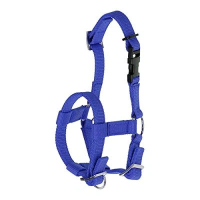 Imagen de Kerbl Collar de alpaca, todos los tipos cierre clip, tamaño ajustable, color azul