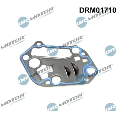 Imagen de DR.MOTOR AUTOMOTIVE DRM01710 Juntas AUDI: A4 B6 Berlina, B7 Avant, VOLKSWAGEN: Passat B5 GP Berlina