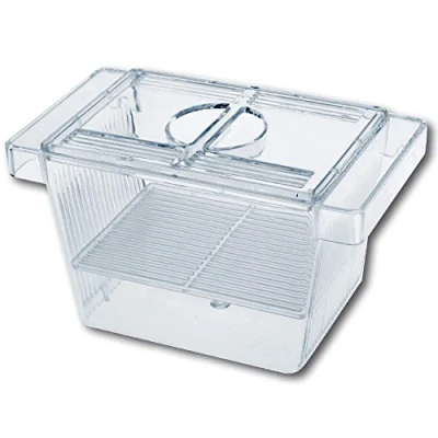 Imagen de Amtra 3 En 1 Acuario Sala De Parto Con Tapa, Flotante, Transparente, 12X6X6 Cm