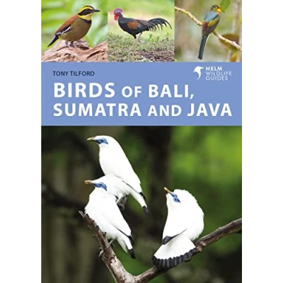 Imagen de Birds Of Bali Sumatra And Java