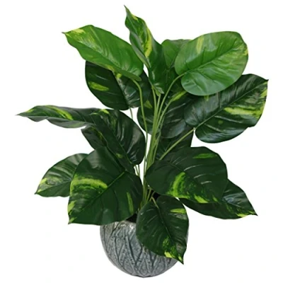 Imagen de Leaf Design UK Maceta de plástico (60 cm), Color Negro