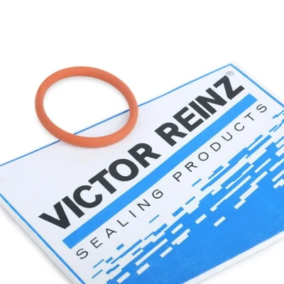 Imagen de Junta, colector de admisión REINZ 71 35247 00