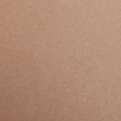Imagen de Clairefontaine 97374C Neceser papel de dibujo Maya liso 25 hojas 21 x 29,7 cm 120 g, color marrón