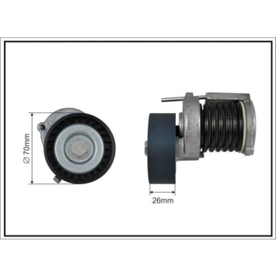 Imagen de CAFFARO 100100SP Brazo tensor, correa trapecial poli V VOLKSWAGEN: Golf 3, 4, 5, SEAT: Leon II Hatchback, I Hatchback