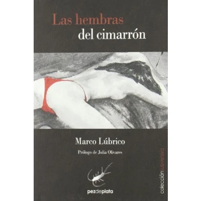 Imagen de Las Hembras Del Cimarrón (SUBVERSIVA)