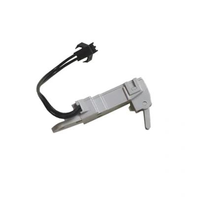 Imagen de Microinterruptor para calentador de gas