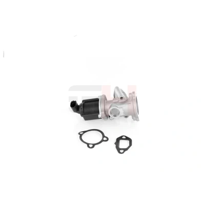 Imagen de GH 732344 Válvula EGR eléctrico sin radiator OPEL: Corsa C Hatchback, D Meriva A Monospace, FIAT: Grande Punto Hatchback