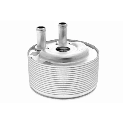 Imagen de ACKOJA A38 60 0007 Radiador de Aceite NISSAN: Pathfinder 3, Cabstar