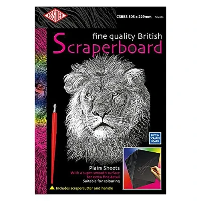 Imagen de ESSDEE CSBB3 5 Raspador británico, Tarjeta, Negro, 305 x 229