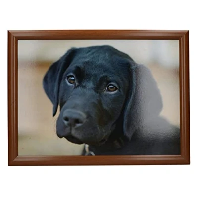 Imagen de CREATIVE TOPS Labrador Puf acolchado, 44 x 34 cm, Multicolor