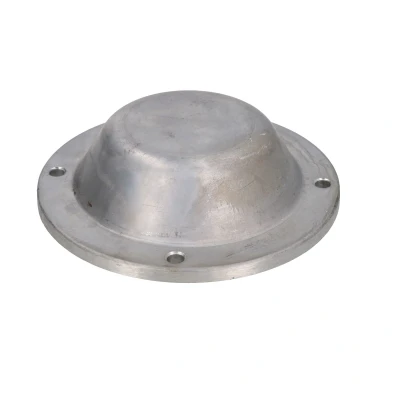 Imagen de Tapa, cojinete de rueda AUGER 80248