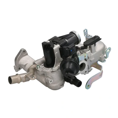 Imagen de WAHLER 710944D/1 Válvula EGR eléctrico sin material de montaje CITROËN: C4 Picasso 1, Berlingo II, C5 3, PEUGEOT: 207 Hatchback, 5008 I norauto,
