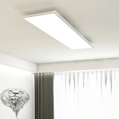 Imagen de Briloner Leuchten Panel de luz techo, lámpara techo o salón, 38W, rectangular, blanco neutro 4000 k, 119,5 cm