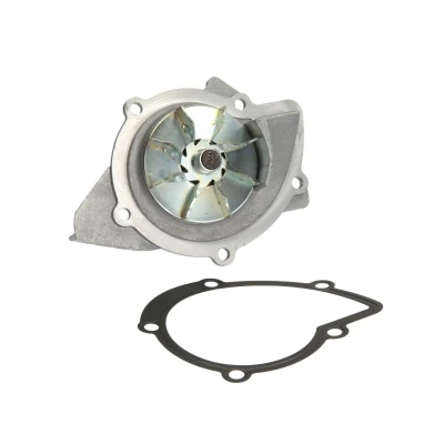 Imagen de HEPU P801 Bomba de agua 19 con junta mecánico PEUGEOT: 407 Berlina, 406 308 I Hatchback, FORD: Focus 2, 2 Limousine, C Max