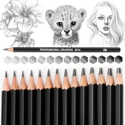 Imagen de Blendura Lápices Dibujo Profesional, 14 Kit Lapices, 10B, 8B, 7B, 6B, 5B, 4B, 3B, 2B, B, HB, 2H, 4H, 6H, Escritura Fluida para Niños Adultos Lapices Profesional