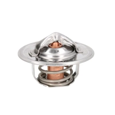 Imagen de THERMOTEC D2FO001TT Termostato, refrigerante 78
