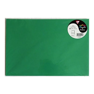 Imagen de Clairefontaine 26123C Un sachet de 5 feuilles Pollen 21x29,7 cm 120g, Vert sapin