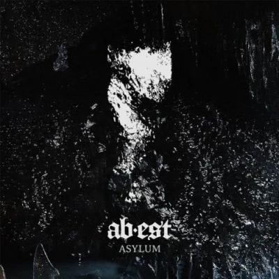 Imagen de Asylum (vinilo)