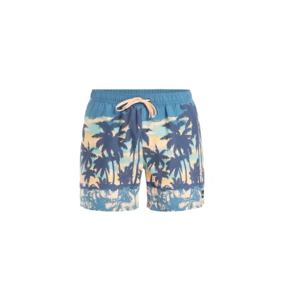 Imagen de Quiksilver Everyday Straight Bañador, Hombre, Talla: Medium, Blq