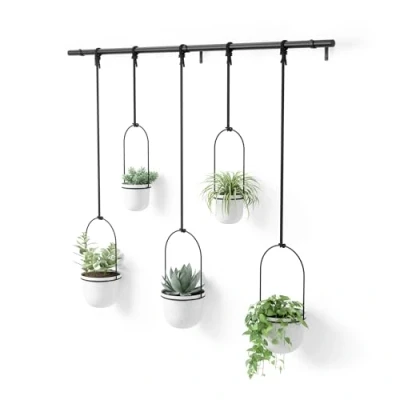 Imagen de Umbra Maceta colgante para suculentas, hierbas y otras plantas pequeñas, color blanco, juego de 5