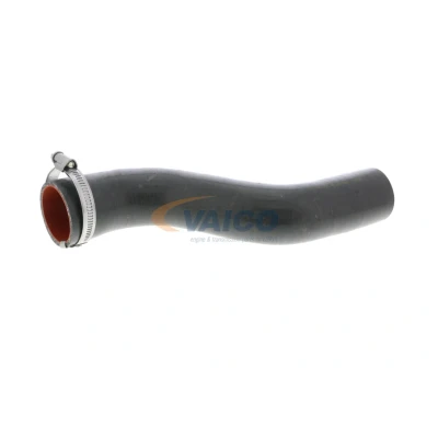 Imagen de VAICO V46 0738 Manguera Turbo Caucho con refuerzo textil Q+, calidad de primer equipo RENAULT: Kangoo II / Grand Kangoo, Express