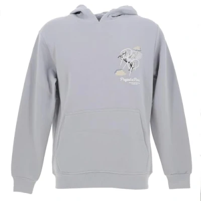 Imagen de Project X Paris PÉGASE Nuage Jersey con capucha, Hombre, Talla: Small, Bleu glacier