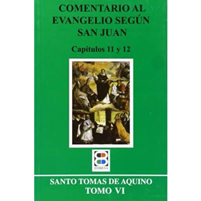 Imagen de Comentario al evangelio según san Juan: Tomo VI (CRITICA Y COMENTARIOS)