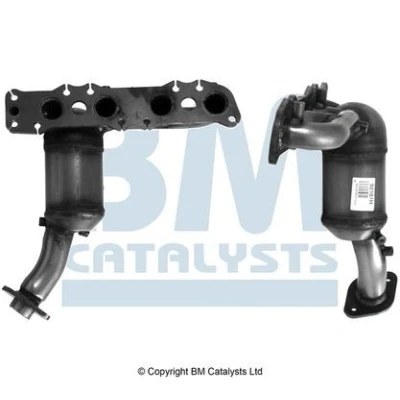 Imagen de NAP carparts CAK11349 Catalizador hasta Euro 5 E9 103R