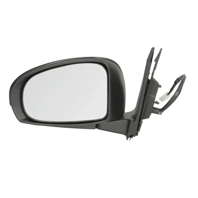 Imagen de Retrovisor exterior BLIC 5402 19 2002493P